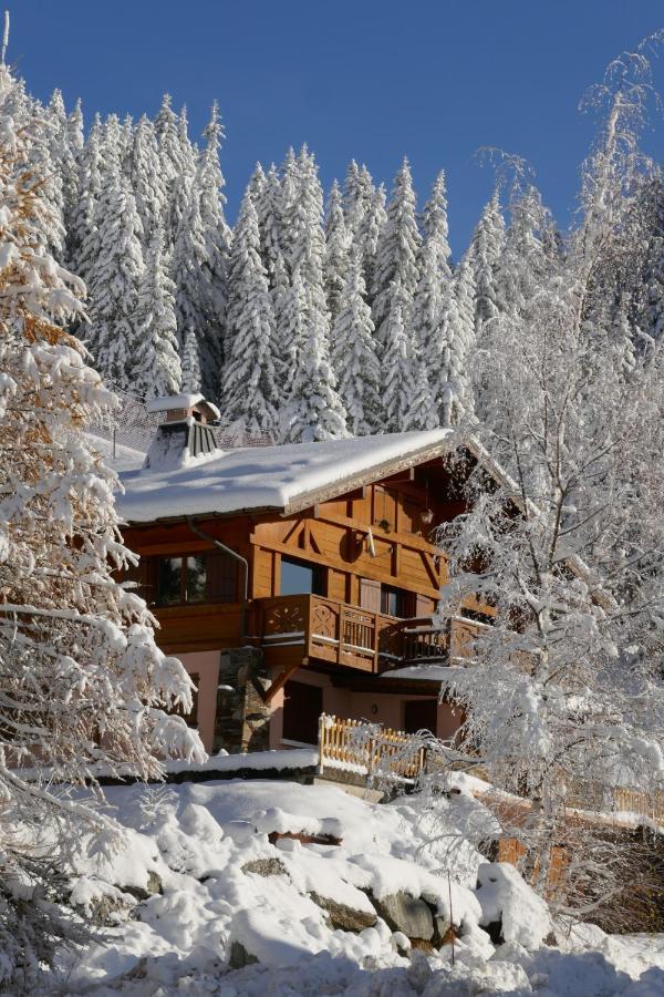 Les Saisies Cote Bisanne Appartement Dans Chalet Le Nepal Exterior photo